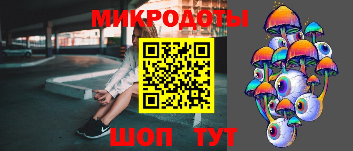 Галлюциногенные грибы Cubensis Гурьевск
